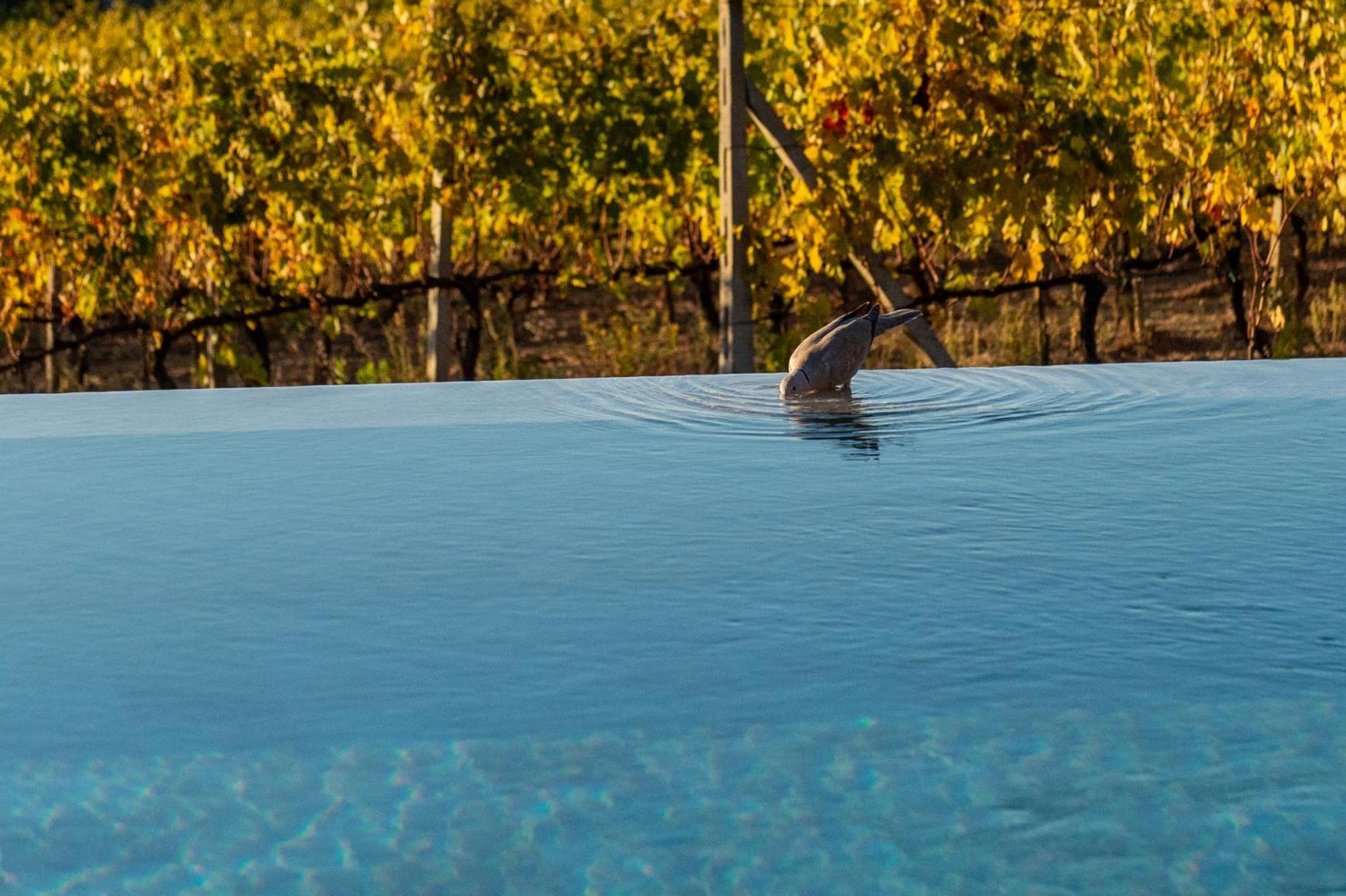 Villa Le Prata - Residenza Del Vescovo - Adults Only Montalcino Exterior photo
